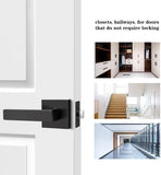 Probrico Heavy Duty Passage Door Lever - Keyless Entry, Durable, Easy Installation