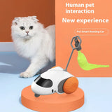 Remote Smart Cat Toys Remote Control Interactive Cat Car Toy USB Charging Automatic Self-moving Teasing Cat Stick Pet Supplies