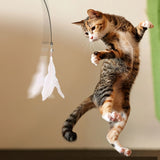 Cat Teaser Toy - Interactive Bell & Feather Wand - Long Suction Cup Pole for Exciting Playtime Adventures - Ultimate Cat Toy