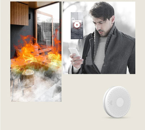 2-in-1 WiFi Tuya Smart Carbon Monoxide &amp; Smoke Detector Alarm